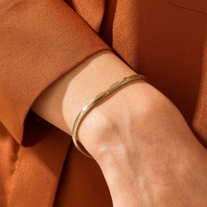18K Verguld Roestvrij Staal Visgraat Slangenketting Armband Voor Vrouwen Minimalistische Platte Slangenketting Sieraden