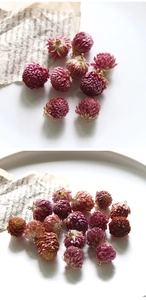 Close-up of colorful dried globe amaranth flower charms with golden metal loops