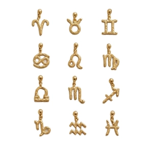 Set of 12 zodiac symbol pendants in gold finish with hammered texture for jewelry making