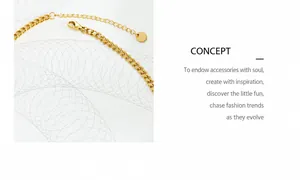 Detailed macro view of the gold-plated titanium necklace clasp and extension chain