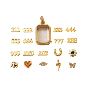 Vintage 18k vergulde medaillon hanger met transparante houder en diverse bedels
