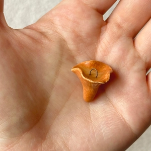 Makrodetail eines orangen Pilzanhängers in der Handfläche, um die kleine Größe zu zeigen