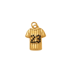 Gouden sportshirt hanger van roestvrij staal met nummer 23 en verticale strepen