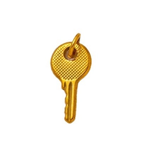 18K gold plated stainless steel key pendant with textured mesh pattern design