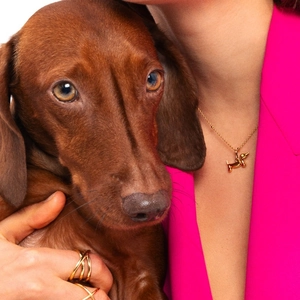 Detalle de un collar con colgante de perro salchicha dorado usado por una modelo