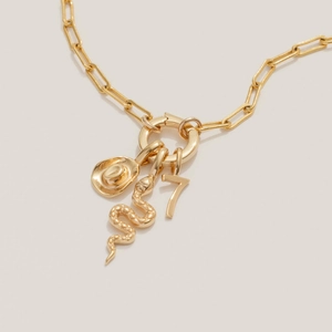 Close-up of gold paperclip chain necklace with snake, cowboy hat and number 7 charms