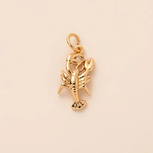 Golden lobster pendant necklace in polished brass with a sparkling zircon accent