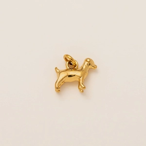 Vista macro del colgante de perro de acero inoxidable chapado en oro 18k con acabado pulido