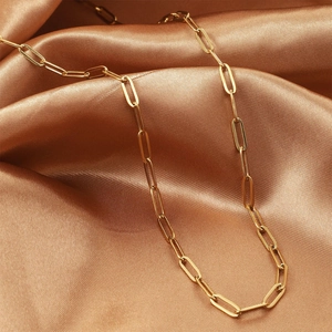 Chic gold titanium steel paperclip chain necklace for women on champagne silk background