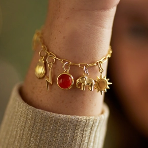 Détail d'un bracelet à breloques plaqué or 18 carats avec coquillage, éléphant et gemme
