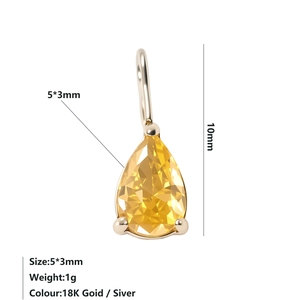 Dettaglio del ciondolo in zircone a goccia 5x3mm con montatura in acciaio da 10mm