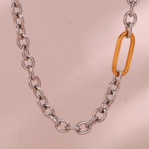 Detail of silver link chain necklace with a contrasting gold oval clasp element