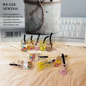 Miniatura Bottiglia Di Bevanda Resina Ciondoli Frutta Caramelle Modello DIY Accessori Per Gioielli Orecchini Portachiavi Collana