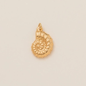 Detailansicht eines goldenen Nautilus-Anhängers mit Spiralrillen und polierter Oberfläche