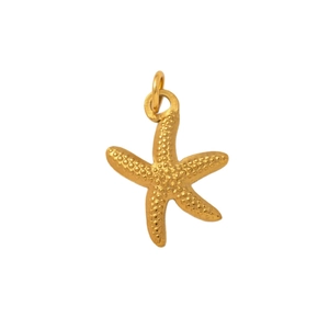 Gestructureerde zeester hanger van 18K verguld roestvrij staal met matte afwerking voor DIY