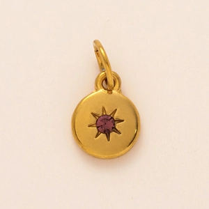 Macro shot of gold stainless steel circular pendant with a purple birthstone star setting