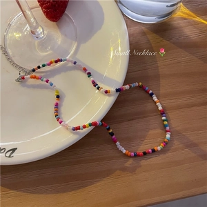 Kleurrijke kralenketting met verstelbare zilveren ketting op een wit bord met aardbeien