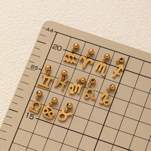 Golden stainless steel zodiac pendants with frosted texture arranged on a scale board