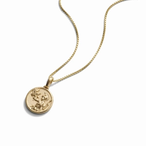 Detaillierte Makroansicht des goldenen Münzanhängers mit römischem Relief und venezianerkette