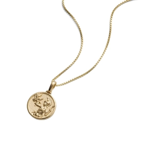 Vintage-Halskette mit Goldmünzen-Anhänger und Krieger-Relief an einer Boxkette