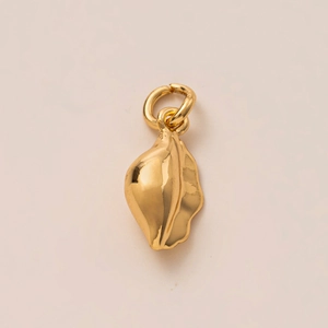 Onregelmatige organische schelpvormige gouden hanger met gepolijste afwerking