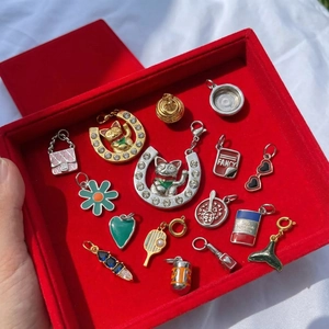 Sammlung von 18K vergoldeten Edelstahlanhängern in einer roten Samt-Schmuckschatulle