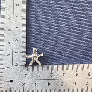 Detailed size measurement of silver starfish pendant showing dimensions of 1.5cm on scale