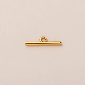 Detailopname van gepolijste 18K vergulde T-sluiting met een minimalistische glans