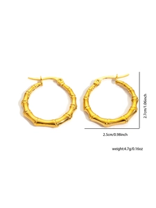 Detailed view of bamboo style titanium steel earrings with weight and size specifications