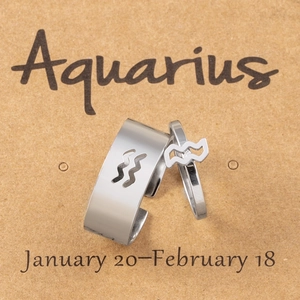 Detail of Aquarius zodiac couples rings set in silver stainless steel on card