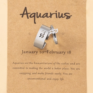 Minimalist Aquarius zodiac stainless steel adjustable ring set on vintage kraft card