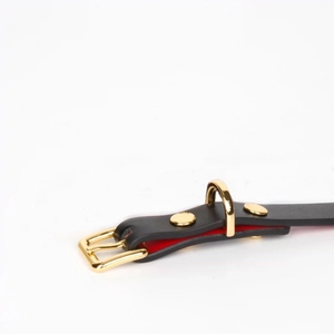 Black and red leather collar with golden buckle and D-ring for bondage and roleplay