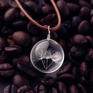 Collar de Pendentif de Bola de Vidrio con Especimen de Diente de León Natural Hecho a Mano Envuelto en Alambre Cuerda Trenzada Marrón Joyas