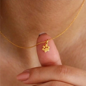 Collar Con Colgante De Huella De Pata De Acero Inoxidable Cadena Con Amuleto De Garra De Perro Gato Para Mujer Joyería