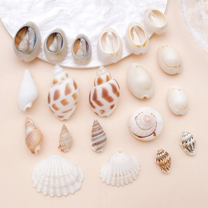 Variety of natural sea shell and conch pendants for DIY jewelry making on pink background