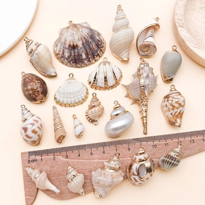 Ensemble de pendentifs en coquillage naturel doré avec divers coquillages pour bijoux