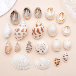 Assorted natural sea shells with pre-drilled holes for DIY jewelry and necklace crafts