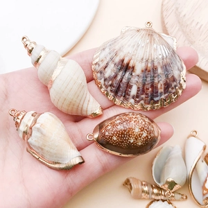 Détails de coquillages naturels aux bords dorés pour la création de bijoux artisanaux