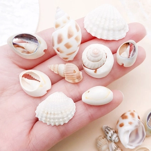 Close-up of small natural sea shells and conches in a hand for DIY jewelry making