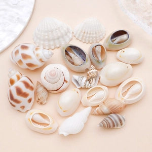 Close-up of various natural ocean shells with pre-drilled holes for DIY jewelry making