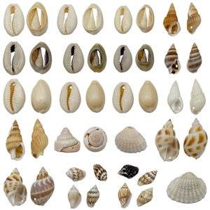 Natural Sea Shell Conch Pendants For DIY Jewelry Making Necklace Keychain Accessories Handmade Ocean Spiral Cowrie Charms