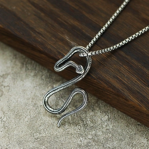 Gros plan détaillé du pendentif serpent argenté vintage avec texture d'écailles gothique