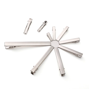 Professional silver metal alligator hair clips in various sizes on white background