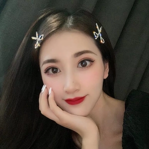 Elegant pair of sparkling rhinestone criss-cross hair clips for women's hair styling
