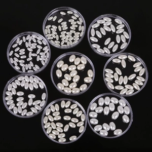 Macro view of white oval ABS imitation pearls organized in clear trays for DIY jewelry making