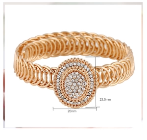 Detailoverzicht van de luxe gouden kettingarmband met sprankelende strass-ovaalplaat