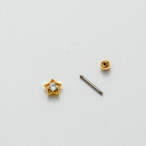Gold star stainless steel screw stud earring with sparkling zircon in a three-part view