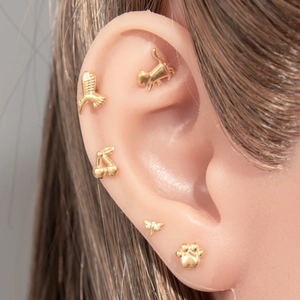 Titanium alloy earring set with cat, cherry, and dragonfly charms on silicone model