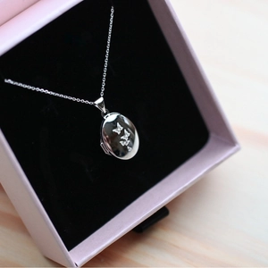 Detalle de un medallón ovalado de plata con mariposa en una caja de joyería rosa