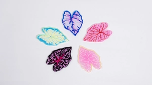 Détails de cinq pendentifs en acrylique en forme de feuille pour bijoux DIY colorés